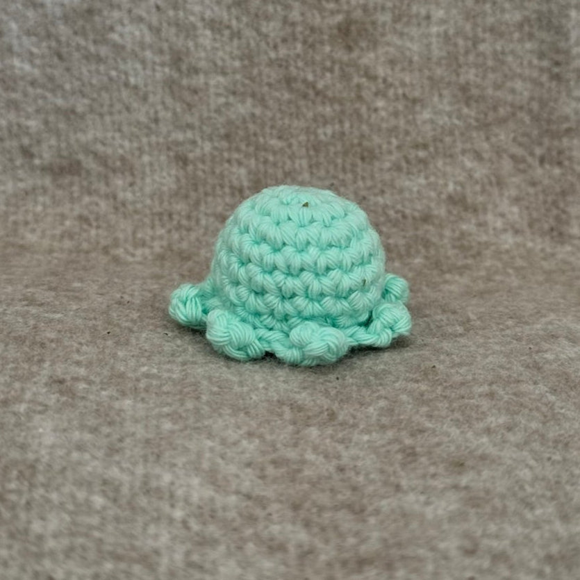 Small Octopus For Kittens