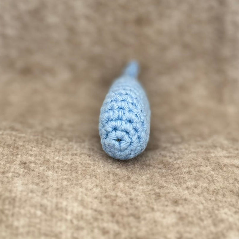 Cute Little Blue fish